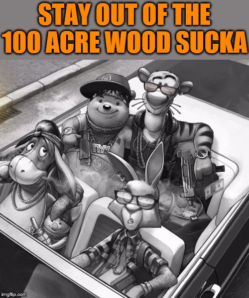 In da hood | STAY OUT OF THE 100 ACRE WOOD SUCKA | image tagged in winnie the pooh | made w/ Imgflip meme maker