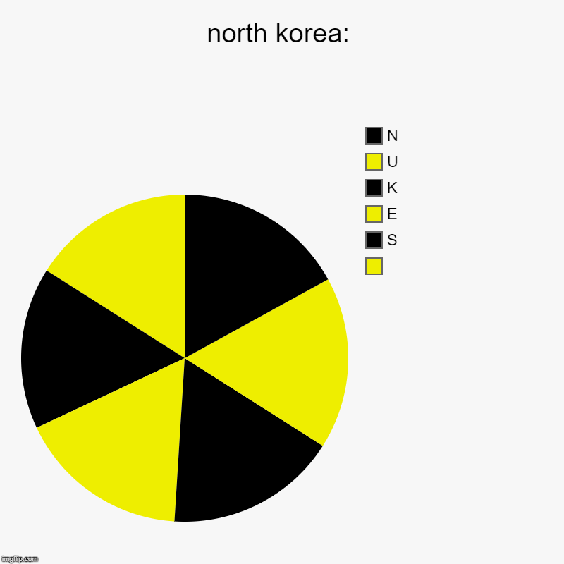 north korea: |   , S, E, K, U, N | image tagged in charts,pie charts | made w/ Imgflip chart maker