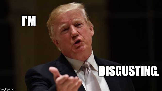 I'M; DISGUSTING. | image tagged in trump,disgusting | made w/ Imgflip meme maker