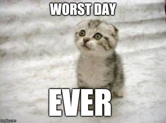 Just because I don't like Mondays myself | image tagged in sad cat,memes,repost,cat memes | made w/ Imgflip meme maker