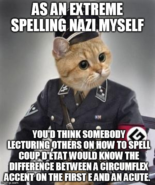 Grammar Nazi Cat | AS AN EXTREME SPELLING NAZI MYSELF YOU'D THINK SOMEBODY LECTURING OTHERS ON HOW TO SPELL COUP D'ETAT WOULD KNOW THE DIFFERENCE BETWEEN A CIR | image tagged in grammar nazi cat | made w/ Imgflip meme maker