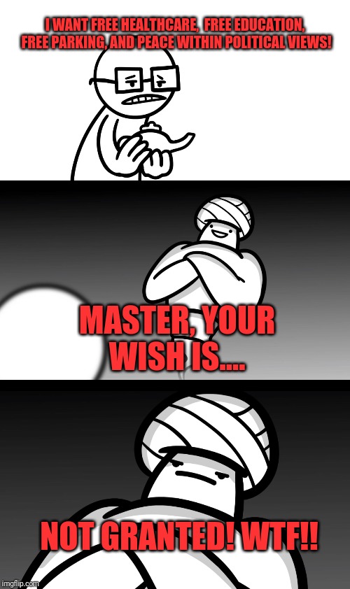 Your Wish is Stupid | I WANT FREE HEALTHCARE,  FREE EDUCATION,  FREE PARKING, AND PEACE WITHIN POLITICAL VIEWS! MASTER, YOUR WISH IS.... NOT GRANTED! WTF!! | image tagged in your wish is stupid | made w/ Imgflip meme maker