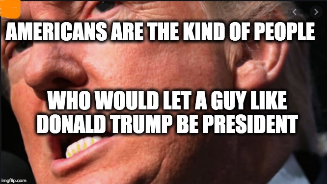 AMERICANS ARE THE KIND OF PEOPLE; WHO WOULD LET A GUY LIKE DONALD TRUMP BE PRESIDENT | image tagged in memes,usa,racist | made w/ Imgflip meme maker