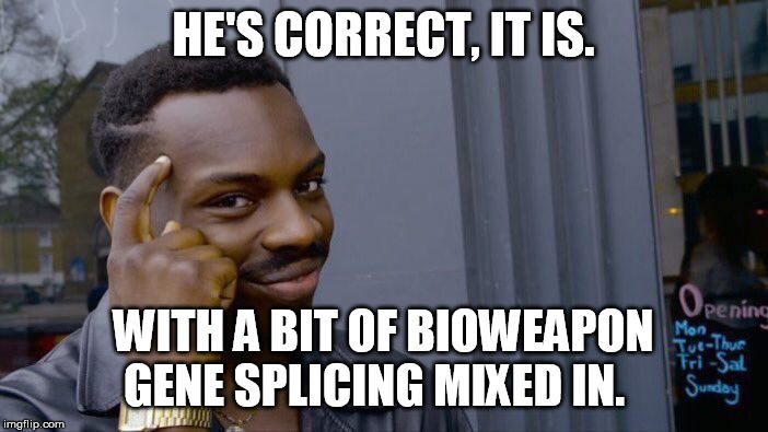 Roll Safe Think About It Meme | HE'S CORRECT, IT IS. WITH A BIT OF BIOWEAPON GENE SPLICING MIXED IN. | image tagged in memes,roll safe think about it | made w/ Imgflip meme maker