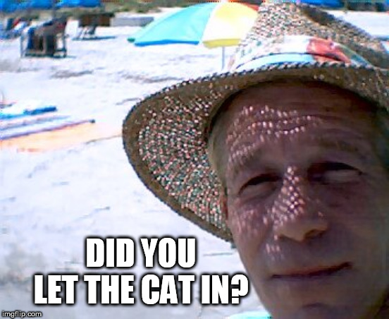 Beach | DID YOU LET THE CAT IN? | image tagged in beach | made w/ Imgflip meme maker