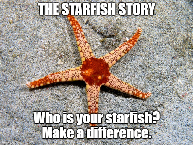 starfish | THE STARFISH STORY; Who is your starfish?
Make a difference. | image tagged in starfish | made w/ Imgflip meme maker