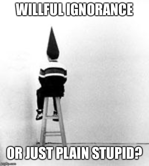 dunce cap | WILLFUL IGNORANCE OR JUST PLAIN STUPID? | image tagged in dunce cap | made w/ Imgflip meme maker
