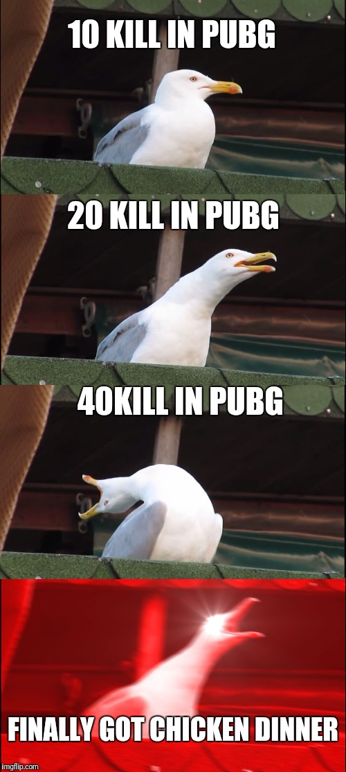 Inhaling Seagull | 10 KILL IN PUBG; 20 KILL IN PUBG; 40KILL IN PUBG; FINALLY GOT CHICKEN DINNER | image tagged in memes,inhaling seagull | made w/ Imgflip meme maker