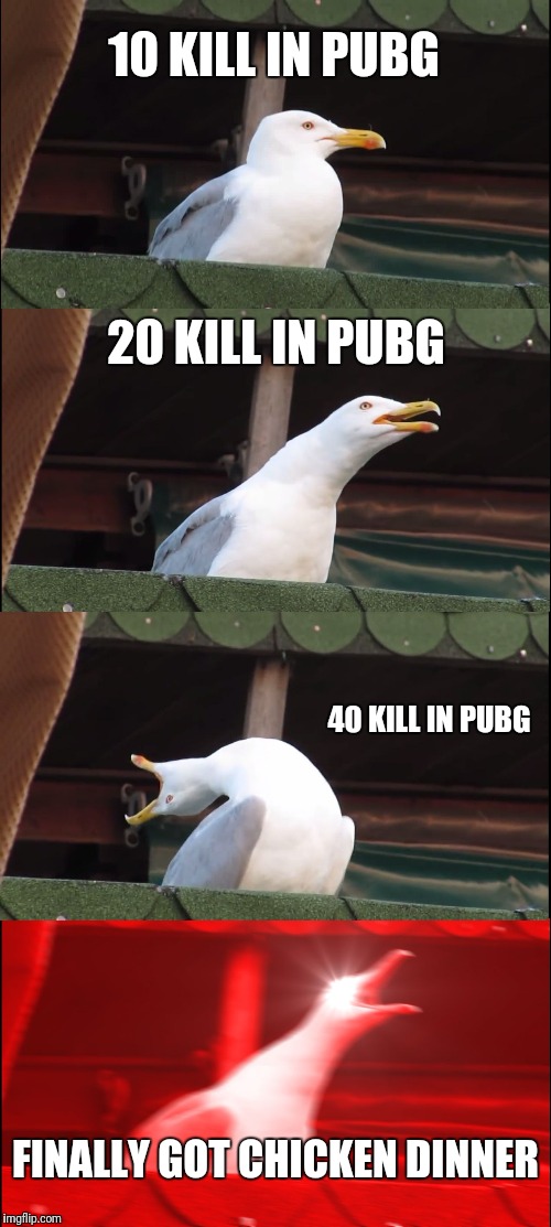 Inhaling Seagull | 10 KILL IN PUBG; 20 KILL IN PUBG; 40 KILL IN PUBG; FINALLY GOT CHICKEN DINNER | image tagged in memes,inhaling seagull | made w/ Imgflip meme maker