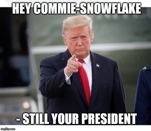 And now, another brief but important message from the President of the United States | HEY COMMIE-SNOWFLAKE; - STILL YOUR PRESIDENT | image tagged in trump wants you,trump bill signing,donald trump approves,trump's wall | made w/ Imgflip meme maker