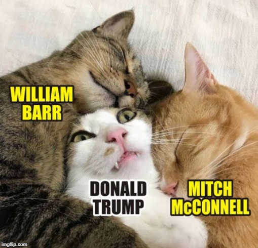 3 Cozy Cats | image tagged in trump,barr,mcconnell,cats,political meme | made w/ Imgflip meme maker