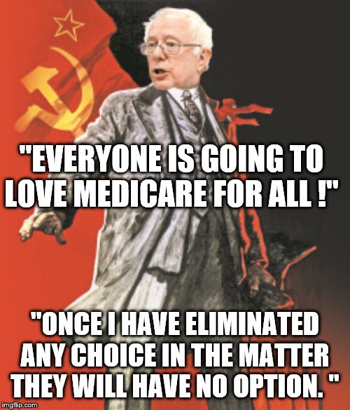 yep | "EVERYONE IS GOING TO LOVE MEDICARE FOR ALL !"; "ONCE I HAVE ELIMINATED ANY CHOICE IN THE MATTER THEY WILL HAVE NO OPTION. " | image tagged in bernie sanders,democrats,socialism | made w/ Imgflip meme maker