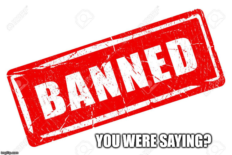 Banned | YOU WERE SAYING? | image tagged in banned | made w/ Imgflip meme maker