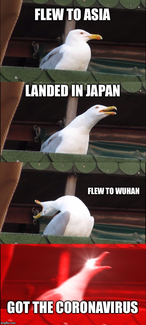 Inhaling Seagull | FLEW TO ASIA; LANDED IN JAPAN; FLEW TO WUHAN; GOT THE CORONAVIRUS | image tagged in memes,inhaling seagull | made w/ Imgflip meme maker