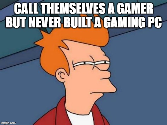Futurama Fry | CALL THEMSELVES A GAMER BUT NEVER BUILT A GAMING PC | image tagged in memes,futurama fry | made w/ Imgflip meme maker