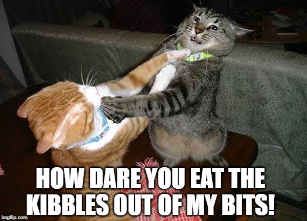 Two cats fighting for real | HOW DARE YOU EAT THE KIBBLES OUT OF MY BITS! | image tagged in two cats fighting for real | made w/ Imgflip meme maker