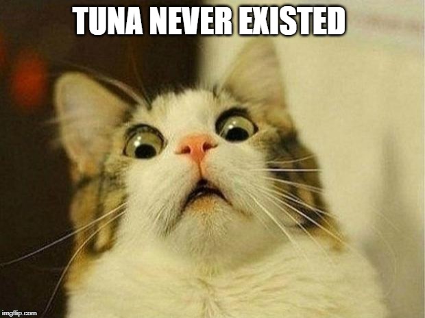 Scared Cat | TUNA NEVER EXISTED | image tagged in memes,scared cat | made w/ Imgflip meme maker