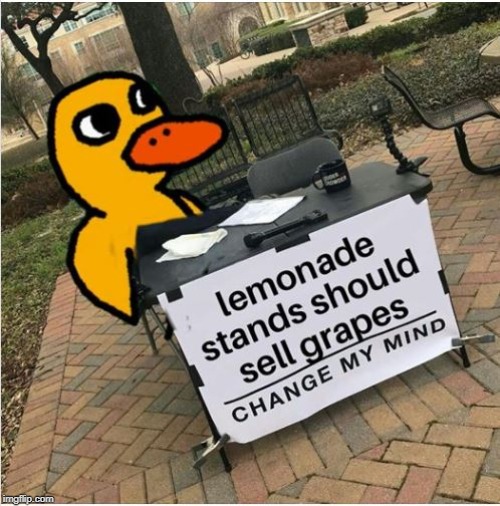 The Ducks Says | image tagged in duck | made w/ Imgflip meme maker