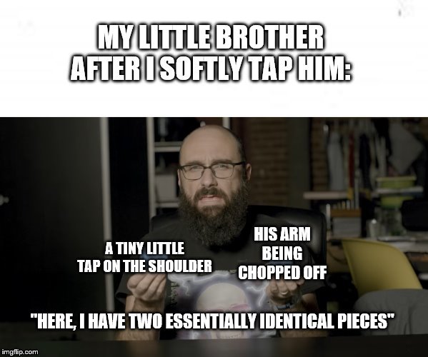 HIS ARM BEING CHOPPED OFF; "HERE, I HAVE TWO ESSENTIALLY IDENTICAL PIECES" | image tagged in memes | made w/ Imgflip meme maker
