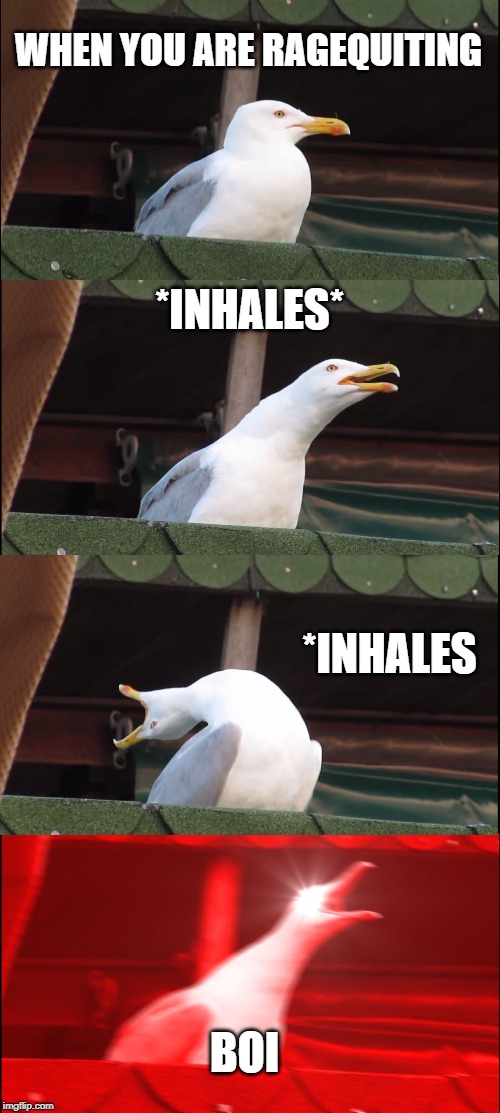 Inhaling Seagull | WHEN YOU ARE RAGEQUITING; *INHALES*; *INHALES; BOI | image tagged in memes,inhaling seagull | made w/ Imgflip meme maker