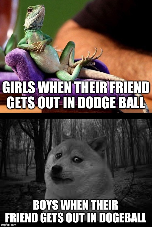 GIRLS WHEN THEIR FRIEND GETS OUT IN DODGE BALL; BOYS WHEN THEIR FRIEND GETS OUT IN DOGEBALL | image tagged in chillin lizard,very sad doge | made w/ Imgflip meme maker