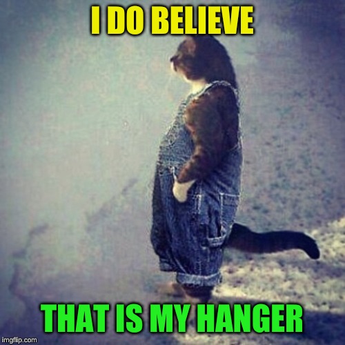 Cat Wearing Overalls | I DO BELIEVE THAT IS MY HANGER | image tagged in cat wearing overalls | made w/ Imgflip meme maker