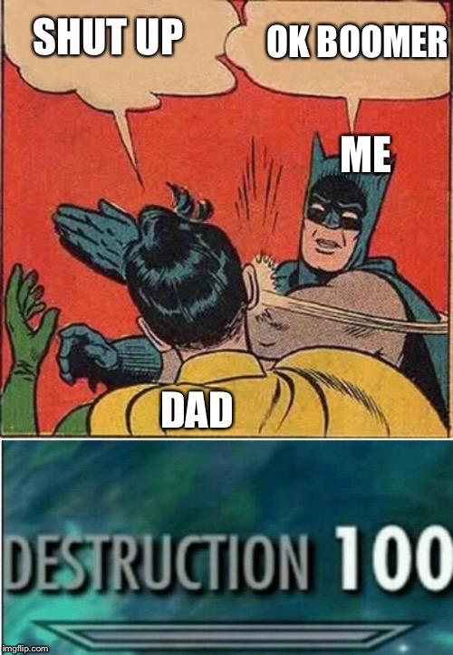 Ok Boomer | image tagged in funny memes,batman slapping robin,destruction 100 | made w/ Imgflip meme maker