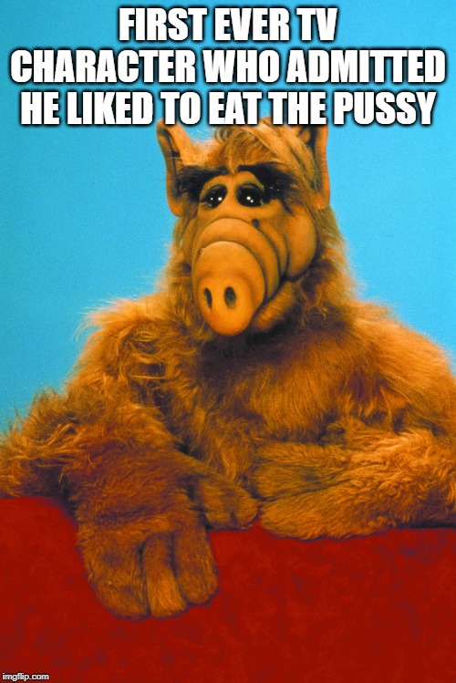 I <3 Cats | FIRST EVER TV CHARACTER WHO ADMITTED HE LIKED TO EAT THE PUSSY | image tagged in alf | made w/ Imgflip meme maker