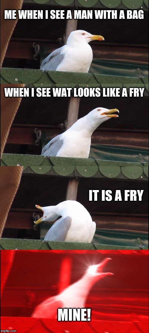 Inhaling Seagull | ME WHEN I SEE A MAN WITH A BAG; WHEN I SEE WAT LOOKS LIKE A FRY; IT IS A FRY; MINE! | image tagged in memes,inhaling seagull | made w/ Imgflip meme maker