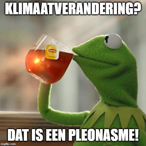 But That's None Of My Business | KLIMAATVERANDERING? DAT IS EEN PLEONASME! | image tagged in memes,but thats none of my business,kermit the frog,klimaatverandering,climate change | made w/ Imgflip meme maker