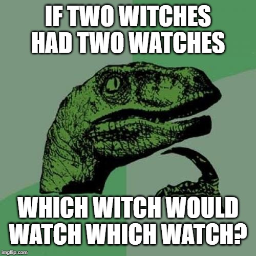 Philosoraptor Meme | IF TWO WITCHES HAD TWO WATCHES; WHICH WITCH WOULD WATCH WHICH WATCH? | image tagged in memes,philosoraptor | made w/ Imgflip meme maker