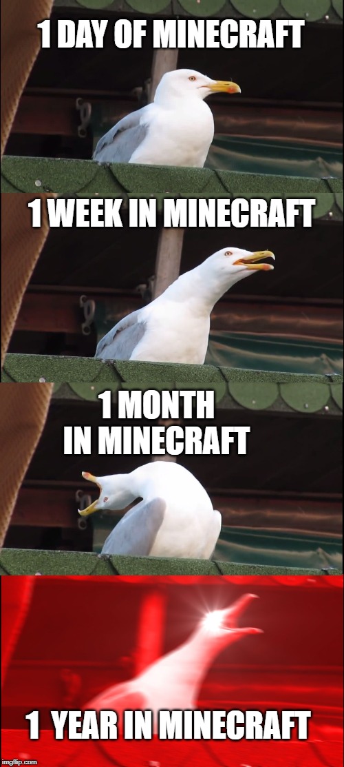 Inhaling Seagull Meme | 1 DAY OF MINECRAFT; 1 WEEK IN MINECRAFT; 1 MONTH IN MINECRAFT; 1  YEAR IN MINECRAFT | image tagged in memes,inhaling seagull | made w/ Imgflip meme maker