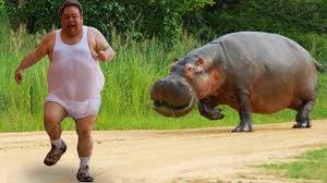 High Quality man being chased by hippo Blank Meme Template