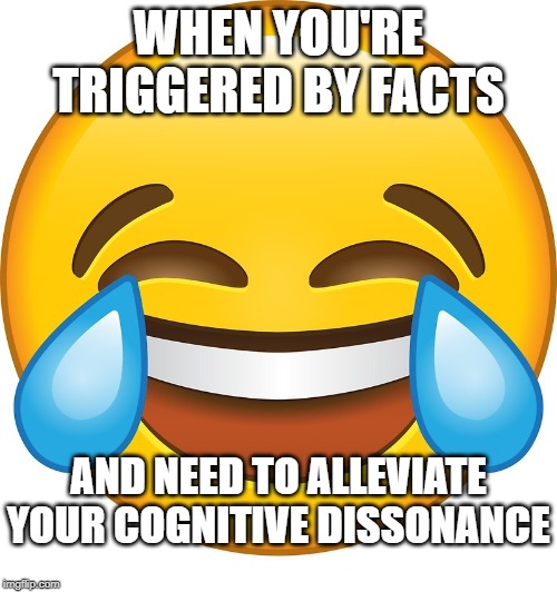 Cognitive Dissonance | WHEN YOU'RE TRIGGERED BY FACTS; AND NEED TO ALLEVIATE YOUR COGNITIVE DISSONANCE | image tagged in mocking laugh face,triggered,snowflake,cognitive dissonance,projection | made w/ Imgflip meme maker