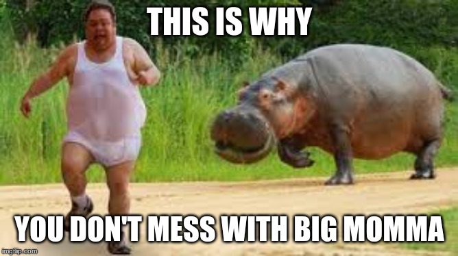 man being chased by hippo | THIS IS WHY; YOU DON'T MESS WITH BIG MOMMA | image tagged in man being chased by hippo | made w/ Imgflip meme maker