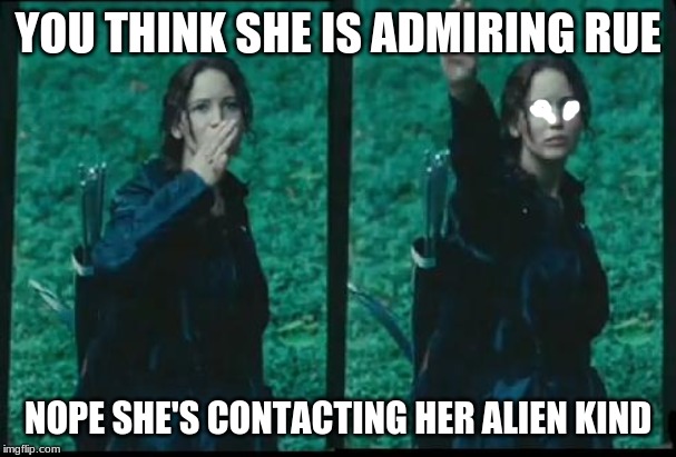 Katniss Respect | YOU THINK SHE IS ADMIRING RUE; NOPE SHE'S CONTACTING HER ALIEN KIND | image tagged in katniss respect | made w/ Imgflip meme maker