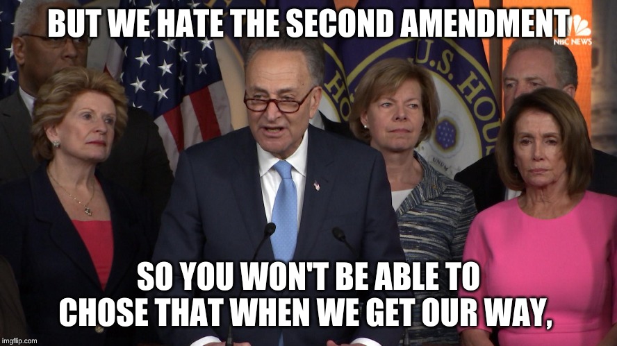 Democrat congressmen | BUT WE HATE THE SECOND AMENDMENT SO YOU WON'T BE ABLE TO CHOSE THAT WHEN WE GET OUR WAY, | image tagged in democrat congressmen | made w/ Imgflip meme maker