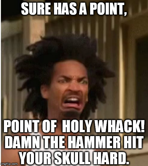 SURE HAS A POINT, POINT OF  HOLY WHACK!

DAMN THE HAMMER HIT YOUR SKULL HARD. | made w/ Imgflip meme maker