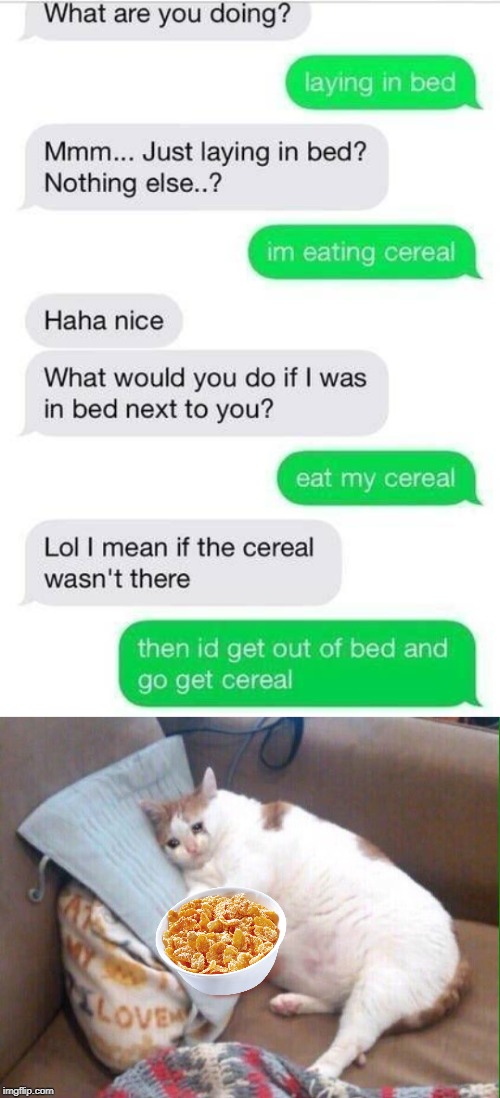 image tagged in funny,texting,cereal,bed,whatsapp,crying cat | made w/ Imgflip meme maker
