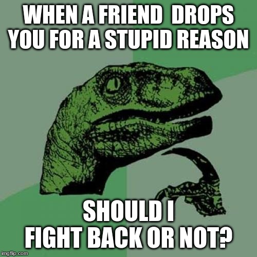 friends | WHEN A FRIEND  DROPS YOU FOR A STUPID REASON; SHOULD I FIGHT BACK OR NOT? | image tagged in memes,philosoraptor | made w/ Imgflip meme maker