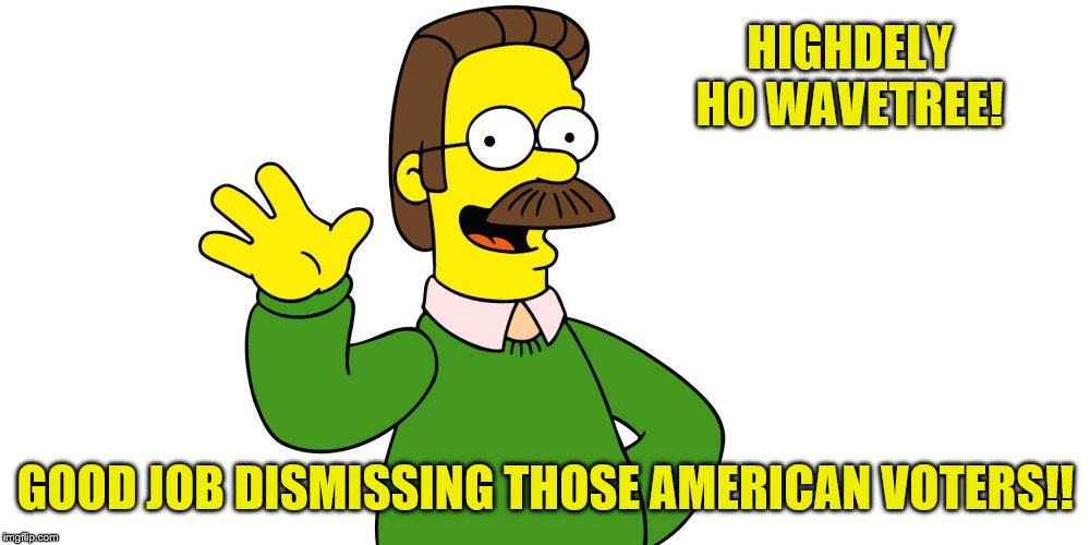 Ned Flanders Wave | HIGHDELY HO WAVETREE! GOOD JOB DISMISSING THOSE AMERICAN VOTERS!! | image tagged in ned flanders wave | made w/ Imgflip meme maker