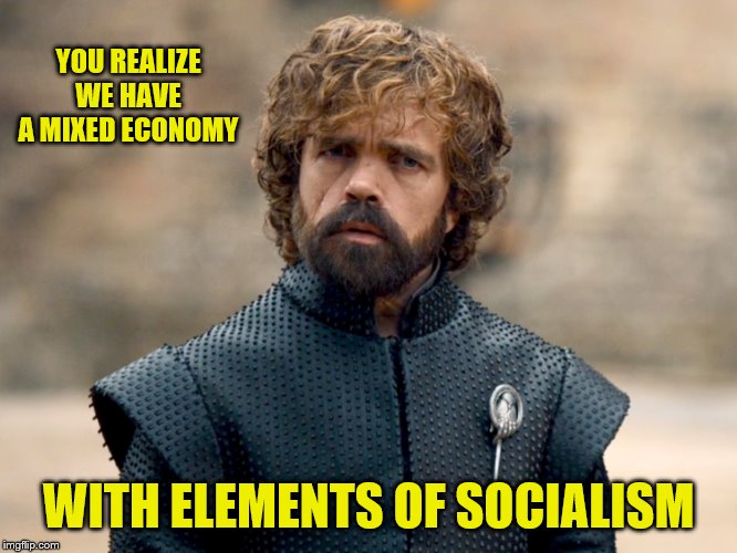 YOU REALIZE WE HAVE A MIXED ECONOMY WITH ELEMENTS OF SOCIALISM | made w/ Imgflip meme maker