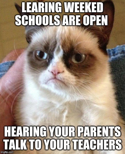 Gumpy Cat | LEARING WEEKED SCHOOLS ARE OPEN; HEARING YOUR PARENTS TALK TO YOUR TEACHERS | image tagged in gumpy cat | made w/ Imgflip meme maker