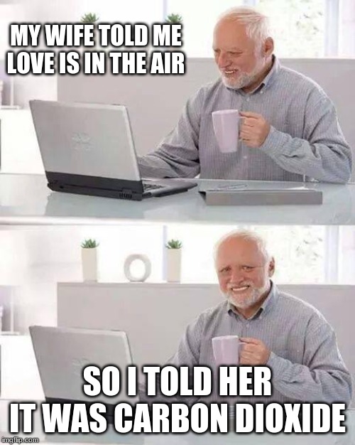 Hide the Pain Harold | MY WIFE TOLD ME LOVE IS IN THE AIR; SO I TOLD HER IT WAS CARBON DIOXIDE | image tagged in memes,hide the pain harold | made w/ Imgflip meme maker