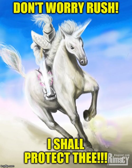 White Knight | DON'T WORRY RUSH! I SHALL PROTECT THEE!!! | image tagged in white knight | made w/ Imgflip meme maker