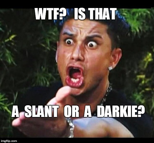 WTF?   IS THAT A  SLANT  OR  A  DARKIE? | made w/ Imgflip meme maker