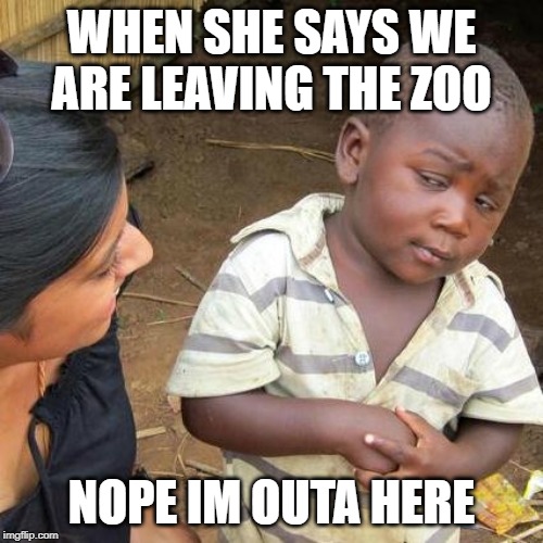 Third World Skeptical Kid | WHEN SHE SAYS WE ARE LEAVING THE ZOO; NOPE IM OUTA HERE | image tagged in memes,third world skeptical kid | made w/ Imgflip meme maker