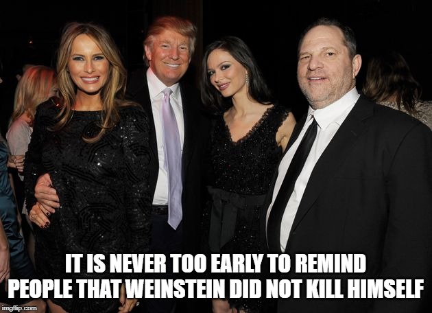 Trump Weinstein | IT IS NEVER TOO EARLY TO REMIND PEOPLE THAT WEINSTEIN DID NOT KILL HIMSELF | image tagged in trump weinstein | made w/ Imgflip meme maker