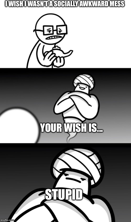 Your Wish is Stupid | I WISH I WASN’T A SOCIALLY AWKWARD MESS; YOUR WISH IS... STUPID | image tagged in your wish is stupid | made w/ Imgflip meme maker