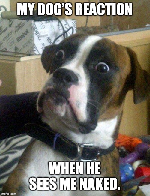 Blankie the Shocked Dog | MY DOG’S REACTION; WHEN HE SEES ME NAKED. | image tagged in blankie the shocked dog | made w/ Imgflip meme maker